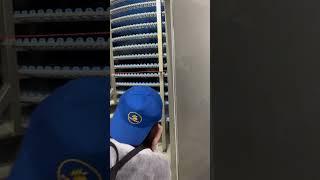 Секретная информация! Шок! Как в «Пятёрочке» появляется выпечка!!!!!! Никто такого ещё не показывал!