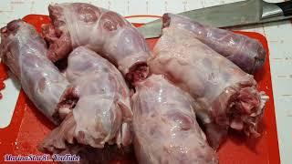 МОЖНО ЕСТЬ ГУБАМИ 