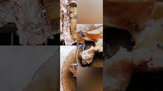 Супер рыбка) Лучший рецепт приготовления толстолобика