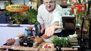 Вы ещё не сажаете эту ТЫКВУ? Тыква БЕЗ КОЖУРЫ долежала до февраля просто в на полу в комнате!