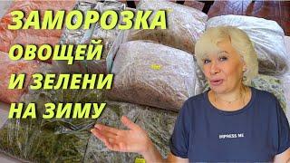 ✅ЗАМОРОЗКА овощей и зелени на зиму✅Мои способы заготовок ???????????? @SubTatiana LIFEVLOG