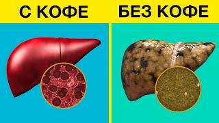 Даже 1 чашка кофе оказывает колоссальное действие на организм. Что будет, если часто пить кофе?