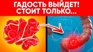 Эти 10 Напитков Чистят Сосуды, Кишечник, Усиливают Иммунитет и Даже… | Progress Way