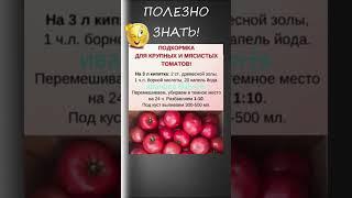 ПОЛЕЗНО ЗНАТЬ! Подкормка для мясистых томатов #shorts #рецепты  #советы