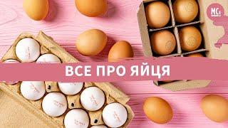 ВСЕ ПРО ЯЙЦЯ | цікаві факти і міфи | ВСЕ ПРО ЯЙЦА | интересные факты и мифы