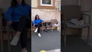 Стамбульские котики #Shorts