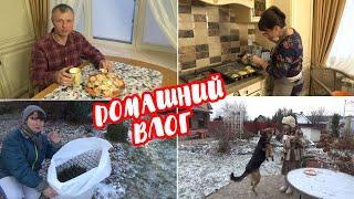 УКРЫВАЕМ САМШИТ на зиму! ПЕЧЕНЬЕ ПЕСОЧНОЕ через МЯСОРУБКУ "Хризантема" - простой рецепт из ДЕТСТВА!