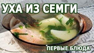 Рецепты блюд. Уха из семги простой рецепт приготовления блюда