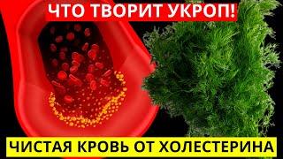 ЧТО ТВОРИТ УКРОП! Потенция! Гипертония! Для Оздоровления Сердца, Сосудов, ЖКТ И Много Другого!