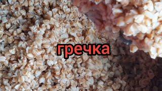 Как Приготовить Гречневую Кашу в Мультиварке готовим с вами вместе PanasonicSR-TMH10или любой другой