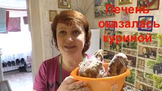 Паштет из любой печени