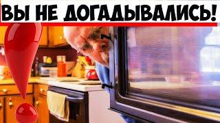 5 необычных рецептов для микроволновки, о которых мало кто знает!