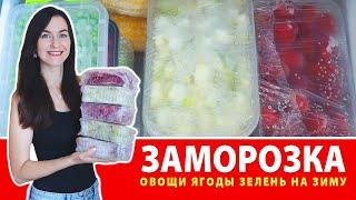 БОЛЬШАЯ ЗАМОРОЗКА ОВОЩЕЙ и ЯГОД НА ЗИМУ ???? Как Заморозить Овощи, Ягоды, Зелень ???? Сезонная Замор