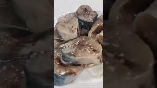 Такую скумбрию не купишь в магазине.