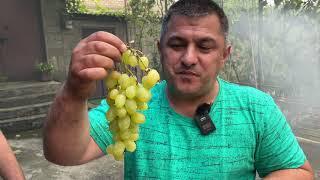 ВНИМАНИЕ ОЧЕНЬ ВКУСНОЕ БЛЮДО! КАК ПРИГОТОВИТЬ ПЕЧЕНЬ СОЧНО. Рецепты от Мурата.