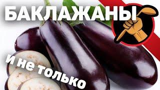 Как приготовить баклажаны. Необычные рецепты.