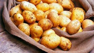 Вы не поверите, что так можно приготовить картошку