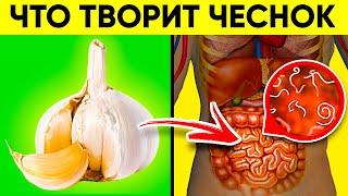 ВОТ ЧТО ТВОРИТ ЧЕСНОК! (Реальная Польза и Вред Чеснока)