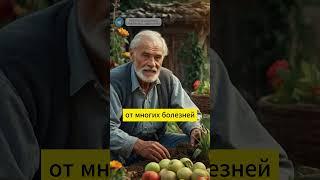 Подкормка рассады НАСТОЕМ ЛУКОВОЙ ШЕЛУХИ: природный стимулятор роста #огород #урожай #луковаяшелуха